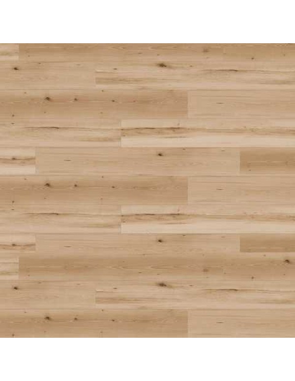 Ламинат Kaindl Classic Touch 8 mm Standard Plank K 4368  Бук SWARAN