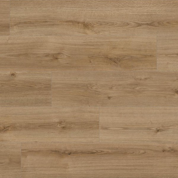 Ламинат Kaindl Natural Touch 8 mm Standard Plank K 4420 Дуб EVOKE CLASSIC