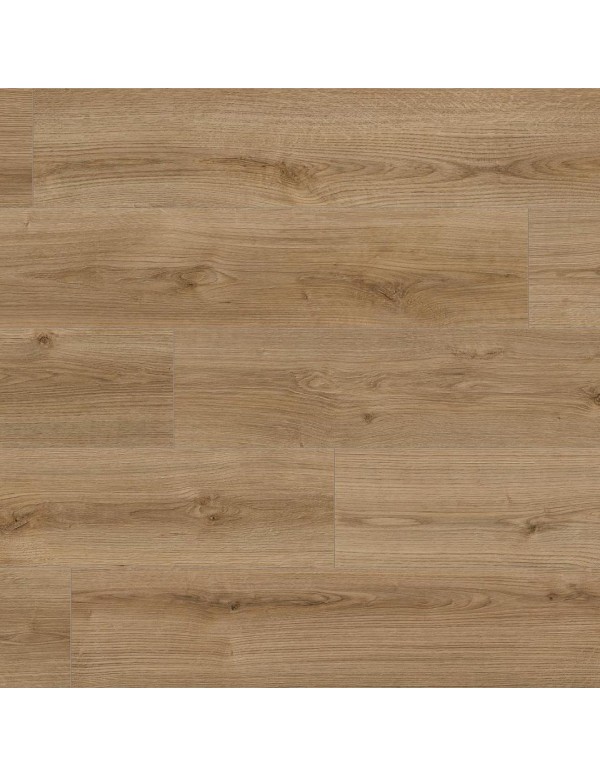 Ламинат Kaindl Natural Touch 8 mm Standard Plank K 4421 Дуб EVOKE TREND