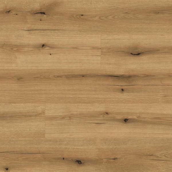 Ламинат Kaindl Natural Touch 8 mm Standard Plank K 5573 Дуб EVOKE KNOT COAST