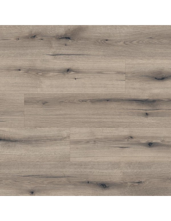 Ламинат Kaindl Natural Touch 8 mm Standard Plank K 5576 Дуб EVOKE KNOT SOLANO
