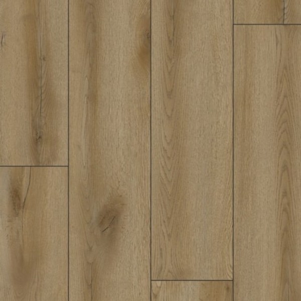 Pilatus Oak