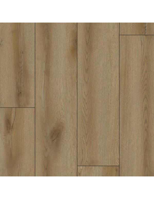 Pilatus Oak