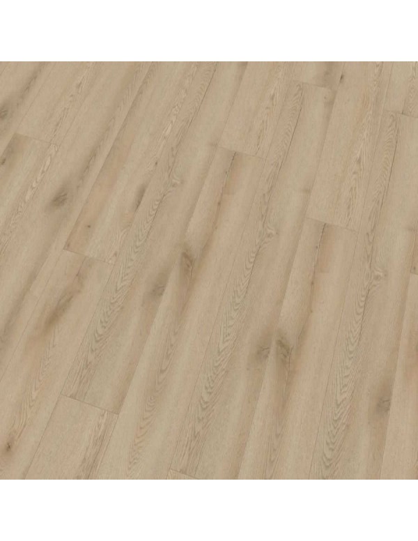 Pilatus Oak Gold
