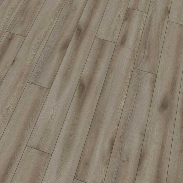 Pilatus Oak Titan